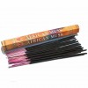Indian Musk (Індійський мускус) Hem Аромапалички Hem Incense Sticks 20 шт