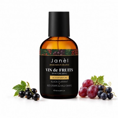 Автопарфюм спрей VIN de FRUITS Фруктовое вино 100 мл